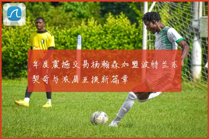 年度震撼交易杨瀚森加盟波特兰东契奇与浓眉互换新篇章