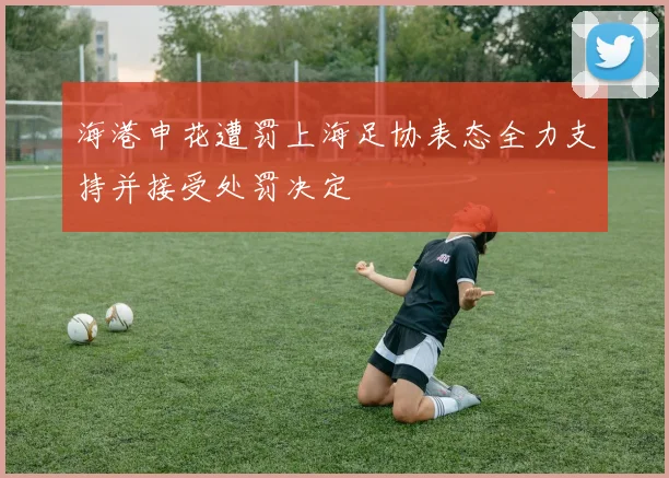 海港申花遭罚上海足协表态全力支持并接受处罚决定
