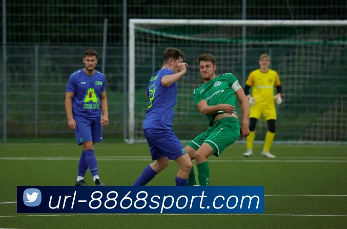 8868体育APP 高清赛事图